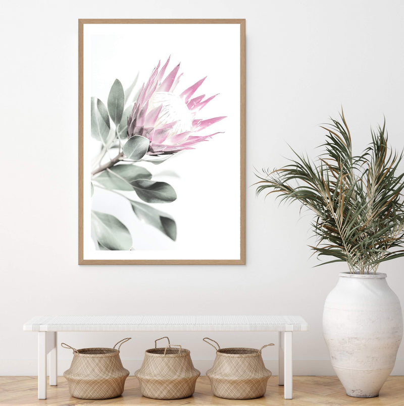 Pink Protea II-The Paper Tree-dusty pink,floral,flower,flowers,pink flower,pink protea,portrait,premium art print,protea,protea flower,protea flowers,wall art,Wall_Art,Wall_Art_Prints