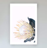 Set of 2 - Yellow Protea  & No.2-The Paper Tree-art set,Artwork,Floral,floral artwork,floral print,flower,flower print,flower print sets,flowers,portrait,premium art print,protea,protea artwork,protea flower,protea flowers,protea print,set,wall art,Wall_Art,Wall_Art_Prints,wild flower,wild flowers,yellow,yellow flower