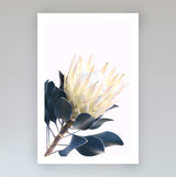 Set of 2 - Yellow Protea  & No.2-The Paper Tree-art set,Artwork,Floral,floral artwork,floral print,flower,flower print,flower print sets,flowers,portrait,premium art print,protea,protea artwork,protea flower,protea flowers,protea print,set,wall art,Wall_Art,Wall_Art_Prints,wild flower,wild flowers,yellow,yellow flower