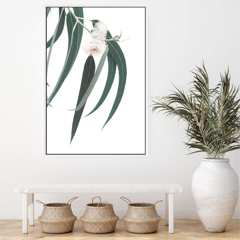 White Eucalyptus Flower-The Paper Tree-australian native,botanical,eucalyptus,flower,gum,gum leaves,hamptons,leaf,leaves,native,portrait,premium art print,wall art,Wall_Art,Wall_Art_Prints,white flower,wild flower