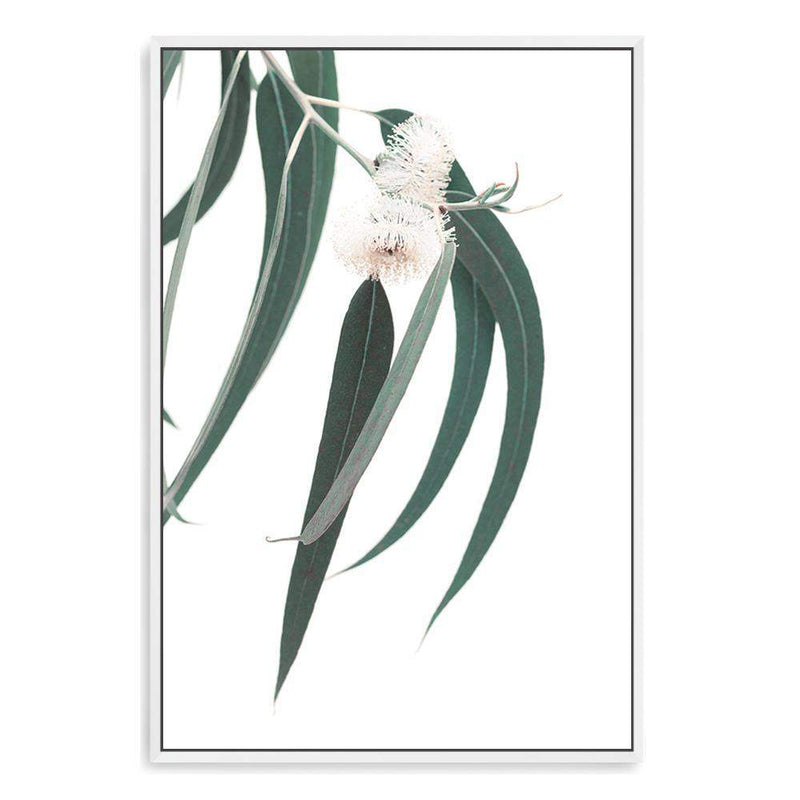 White Eucalyptus Flower-The Paper Tree-australian native,botanical,eucalyptus,flower,gum,gum leaves,hamptons,leaf,leaves,native,portrait,premium art print,wall art,Wall_Art,Wall_Art_Prints,white flower,wild flower