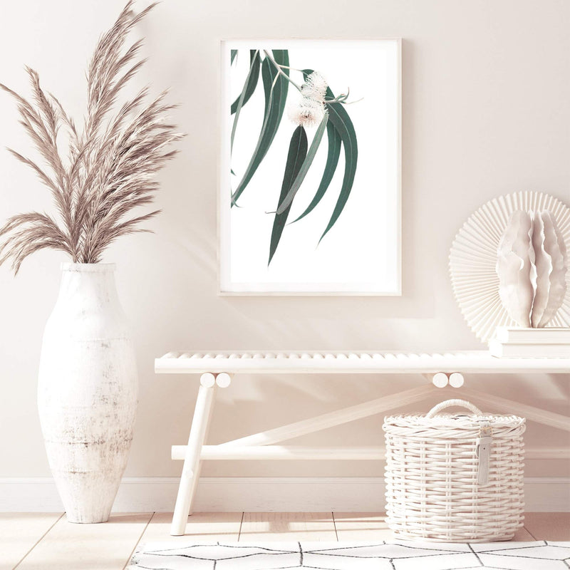 White Eucalyptus Flower-The Paper Tree-australian native,botanical,eucalyptus,flower,gum,gum leaves,hamptons,leaf,leaves,native,portrait,premium art print,wall art,Wall_Art,Wall_Art_Prints,white flower,wild flower