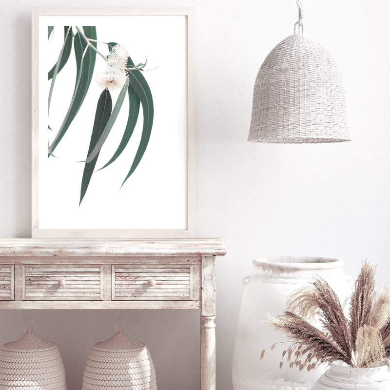 White Eucalyptus Flower-The Paper Tree-australian native,botanical,eucalyptus,flower,gum,gum leaves,hamptons,leaf,leaves,native,portrait,premium art print,wall art,Wall_Art,Wall_Art_Prints,white flower,wild flower