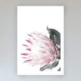 Set of 2 - Dusty Pink Protea  & No.2-The Paper Tree-Artwork,dusty pink,Floral,floral print,flower,flower print,flower print sets,flowers,gift,pastel pink,pink,pink flower,pink protea,pink protea flower,portrait,premium art print,protea,protea flower,protea flowers,protea print,wall art,Wall_Art,Wall_Art_Prints,wild flower,wild flowers