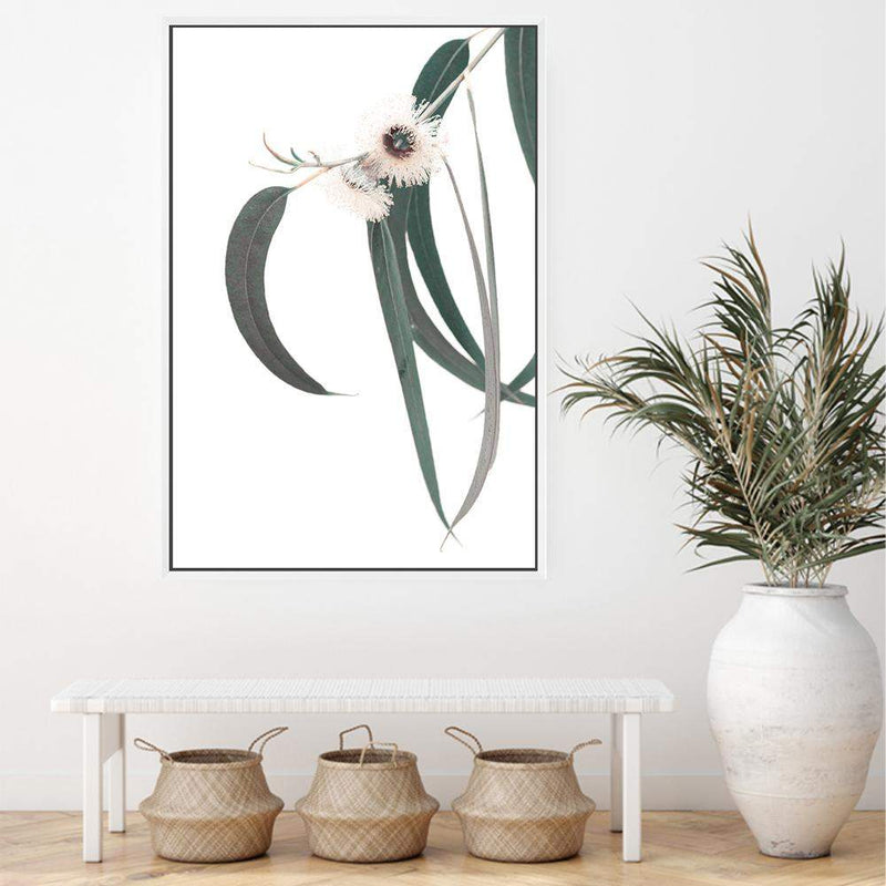 White Eucalyptus Flower II-The Paper Tree-australian native,botanical,eucalyptus,flower,gum,gum leaves,hamptons,leaf,leaves,native,portrait,premium art print,wall art,Wall_Art,Wall_Art_Prints,white flower,wild flower