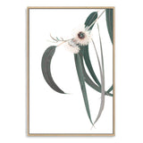 White Eucalyptus Flower II-The Paper Tree-australian native,botanical,eucalyptus,flower,gum,gum leaves,hamptons,leaf,leaves,native,portrait,premium art print,wall art,Wall_Art,Wall_Art_Prints,white flower,wild flower