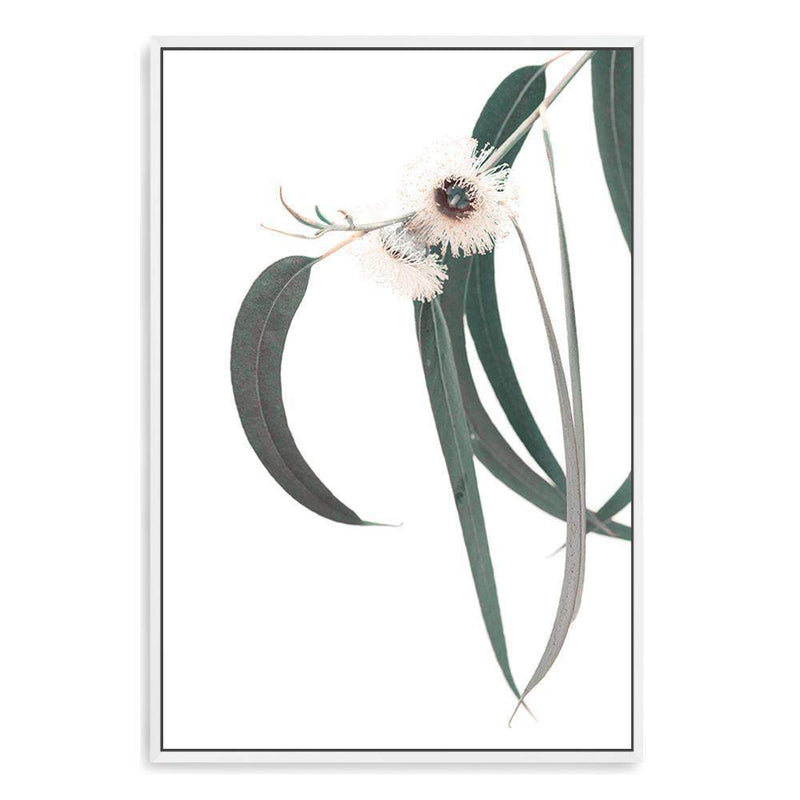 White Eucalyptus Flower II-The Paper Tree-australian native,botanical,eucalyptus,flower,gum,gum leaves,hamptons,leaf,leaves,native,portrait,premium art print,wall art,Wall_Art,Wall_Art_Prints,white flower,wild flower