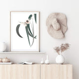 White Eucalyptus Flower II-The Paper Tree-australian native,botanical,eucalyptus,flower,gum,gum leaves,hamptons,leaf,leaves,native,portrait,premium art print,wall art,Wall_Art,Wall_Art_Prints,white flower,wild flower