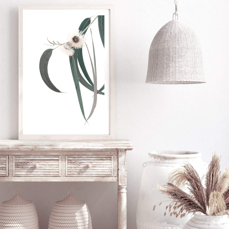 White Eucalyptus Flower II-The Paper Tree-australian native,botanical,eucalyptus,flower,gum,gum leaves,hamptons,leaf,leaves,native,portrait,premium art print,wall art,Wall_Art,Wall_Art_Prints,white flower,wild flower