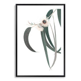 White Eucalyptus Flower II-The Paper Tree-australian native,botanical,eucalyptus,flower,gum,gum leaves,hamptons,leaf,leaves,native,portrait,premium art print,wall art,Wall_Art,Wall_Art_Prints,white flower,wild flower