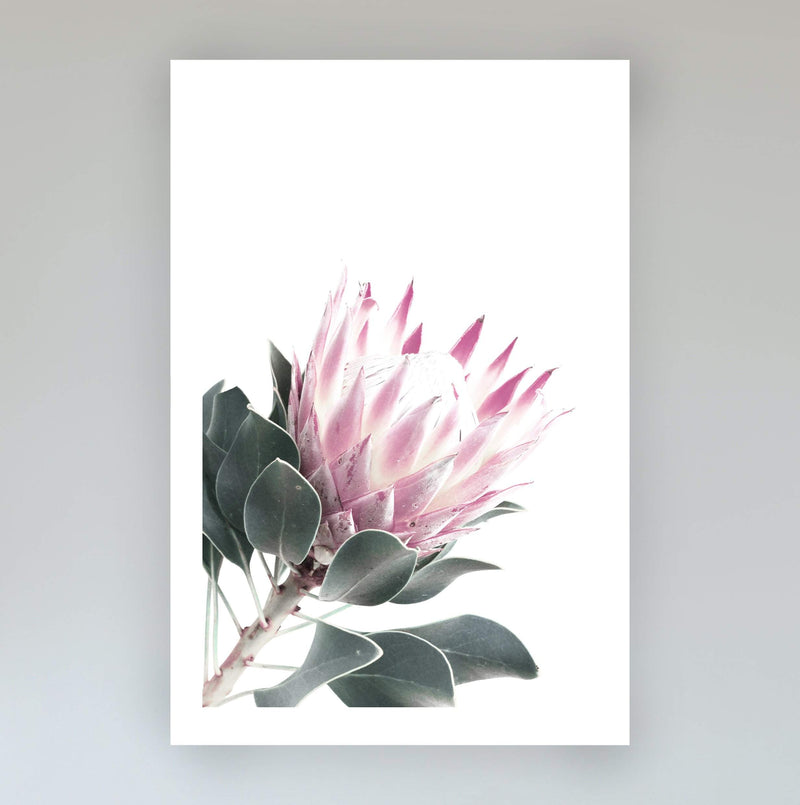 Set of 2 - Dusty Pink Protea  & No.2-The Paper Tree-Artwork,dusty pink,Floral,floral print,flower,flower print,flower print sets,flowers,gift,pastel pink,pink,pink flower,pink protea,pink protea flower,portrait,premium art print,protea,protea flower,protea flowers,protea print,wall art,Wall_Art,Wall_Art_Prints,wild flower,wild flowers