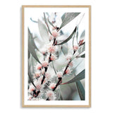 Eucalyptus Wild Flower-The Paper Tree-australia,australian,australian native,australiana,botanical,eucalyptus,flower,green,gum,gum leaves,leaf,leaves,muted tone,native,pink,portrait,premium art print,wall art,Wall_Art,Wall_Art_Prints,white flower,wild flower