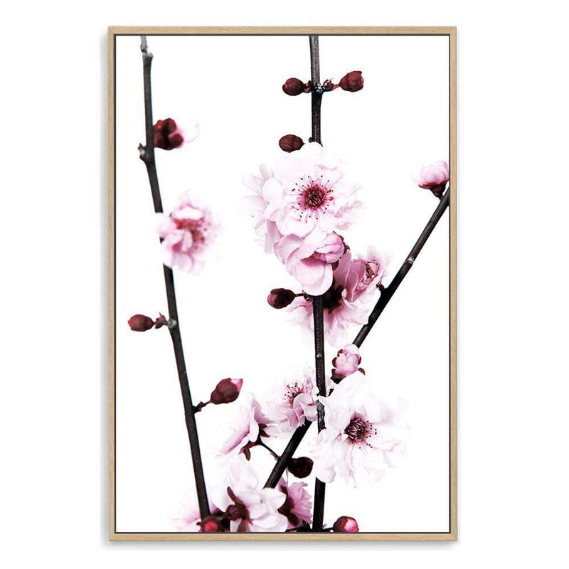 Cherry Blossom-The Paper Tree-bloom,blossom,cherry blossom,floral,flower,pink,portrait,premium art print,wall art,Wall_Art,Wall_Art_Prints