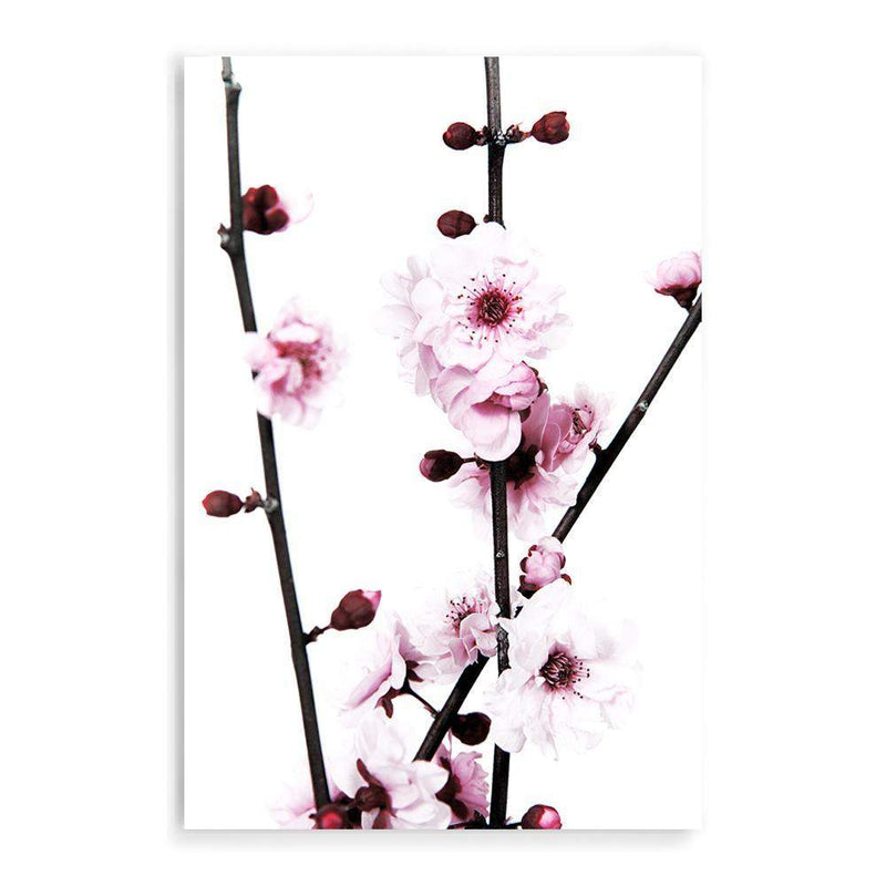 Cherry Blossom-The Paper Tree-bloom,blossom,cherry blossom,floral,flower,pink,portrait,premium art print,wall art,Wall_Art,Wall_Art_Prints