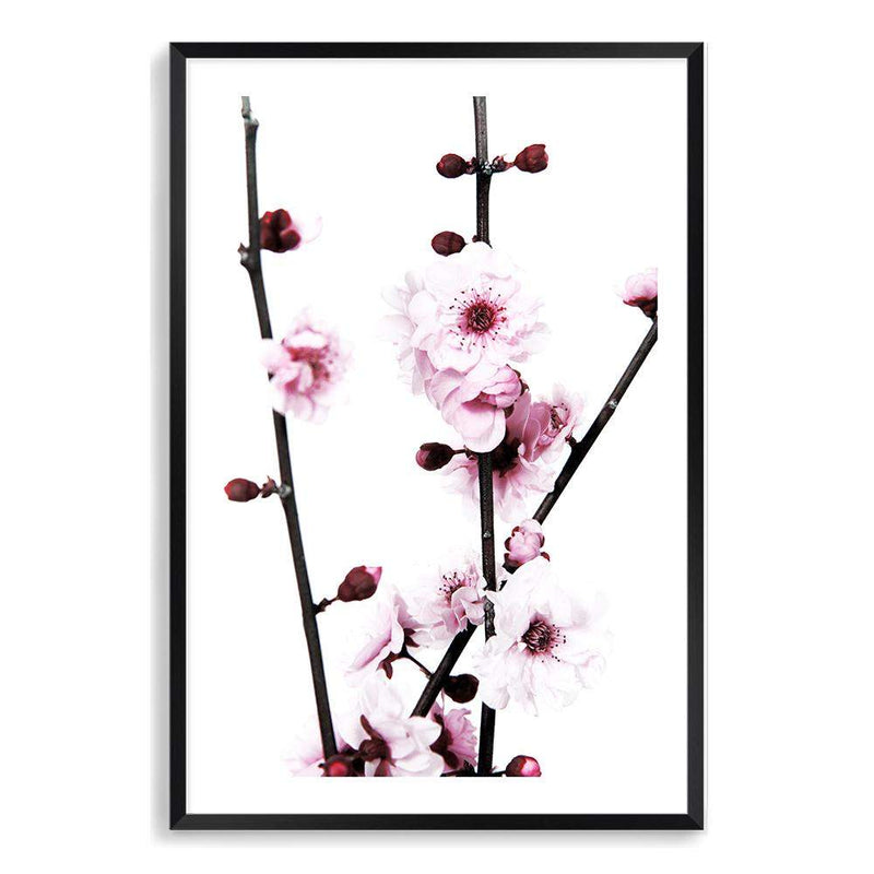 Cherry Blossom-The Paper Tree-bloom,blossom,cherry blossom,floral,flower,pink,portrait,premium art print,wall art,Wall_Art,Wall_Art_Prints