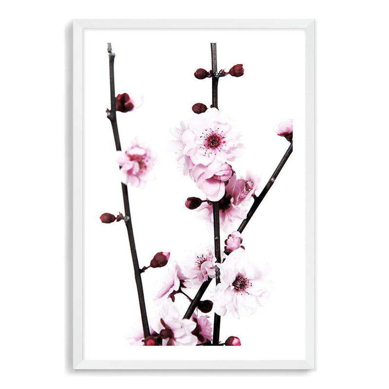 Cherry Blossom-The Paper Tree-bloom,blossom,cherry blossom,floral,flower,pink,portrait,premium art print,wall art,Wall_Art,Wall_Art_Prints