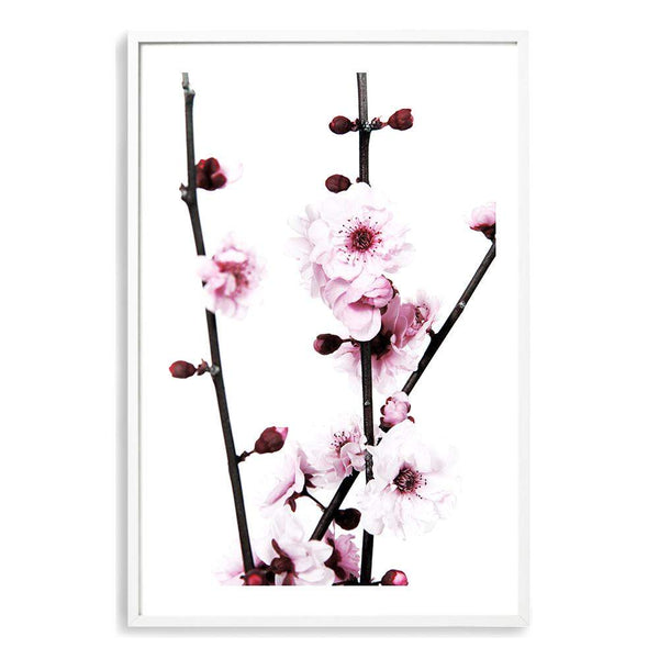 Cherry Blossom-The Paper Tree-bloom,blossom,cherry blossom,floral,flower,pink,portrait,premium art print,wall art,Wall_Art,Wall_Art_Prints