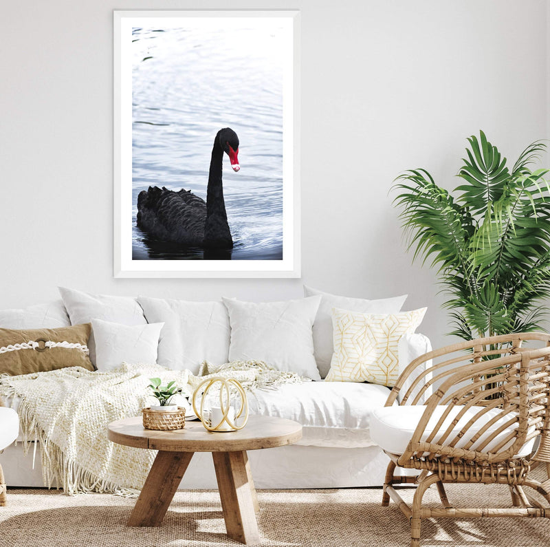 Black Swan III-The Paper Tree-animals,Art_Prints,Australian animals,australian art,BIRD,Birds,black,black & white,black and white,black swan,coastal,COASTAL ART,Designer,hamptons,lake,monochrome,nature,ocean,portrait,premium art print,swan,swans,wall art,Wall_Art,Wall_Art_Prints,water