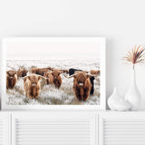 Highland Cattle-The Paper Tree-Artwork,bohemian,boho,CATTLE,framed,framed print,herd,highland bull,highland cattle,highland cow,landscape,nature,premium art print,TAN,wall art,Wall_Art,Wall_Art_Prints