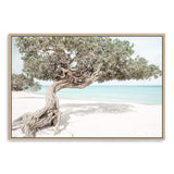 Divi Divi Tree-The Paper Tree-Aruba,beach,blue,boho,coast,coastal,divi divi tree,green,hamptons,island,landscape,ocean,premium art print,seaside,wall art,Wall_Art,Wall_Art_Prints