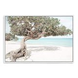 Divi Divi Tree-The Paper Tree-Aruba,beach,blue,boho,coast,coastal,divi divi tree,green,hamptons,island,landscape,ocean,premium art print,seaside,wall art,Wall_Art,Wall_Art_Prints