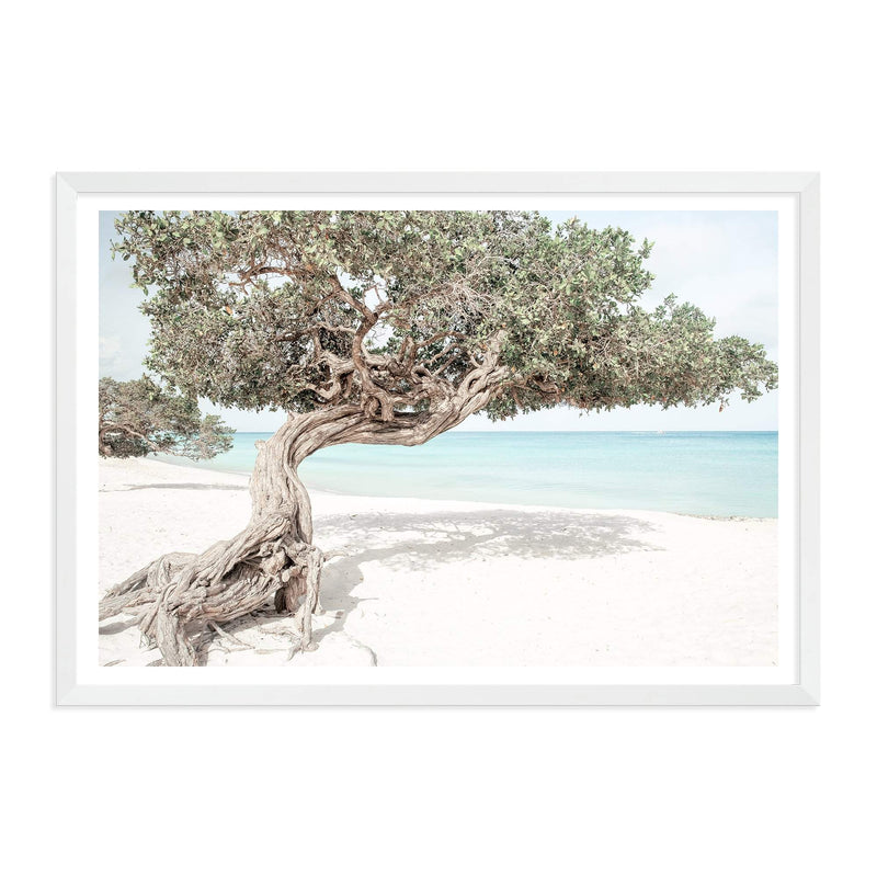 Divi Divi Tree-The Paper Tree-Aruba,beach,blue,boho,coast,coastal,divi divi tree,green,hamptons,island,landscape,ocean,premium art print,seaside,wall art,Wall_Art,Wall_Art_Prints