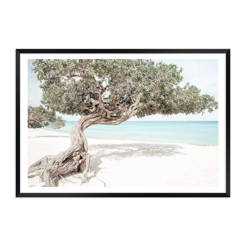 Divi Divi Tree-The Paper Tree-Aruba,beach,blue,boho,coast,coastal,divi divi tree,green,hamptons,island,landscape,ocean,premium art print,seaside,wall art,Wall_Art,Wall_Art_Prints