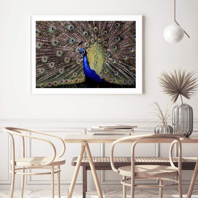 Percy The Peacock-The Paper Tree-animal,animals,Artwork,bird,blue,green,landscape,nature,PEACOCK,premium art print,wall art,Wall_Art,Wall_Art_Prints