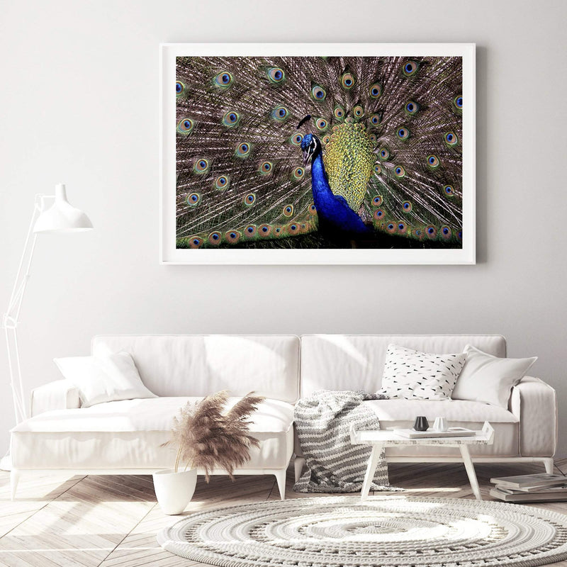 Percy The Peacock-The Paper Tree-animal,animals,Artwork,bird,blue,green,landscape,nature,PEACOCK,premium art print,wall art,Wall_Art,Wall_Art_Prints