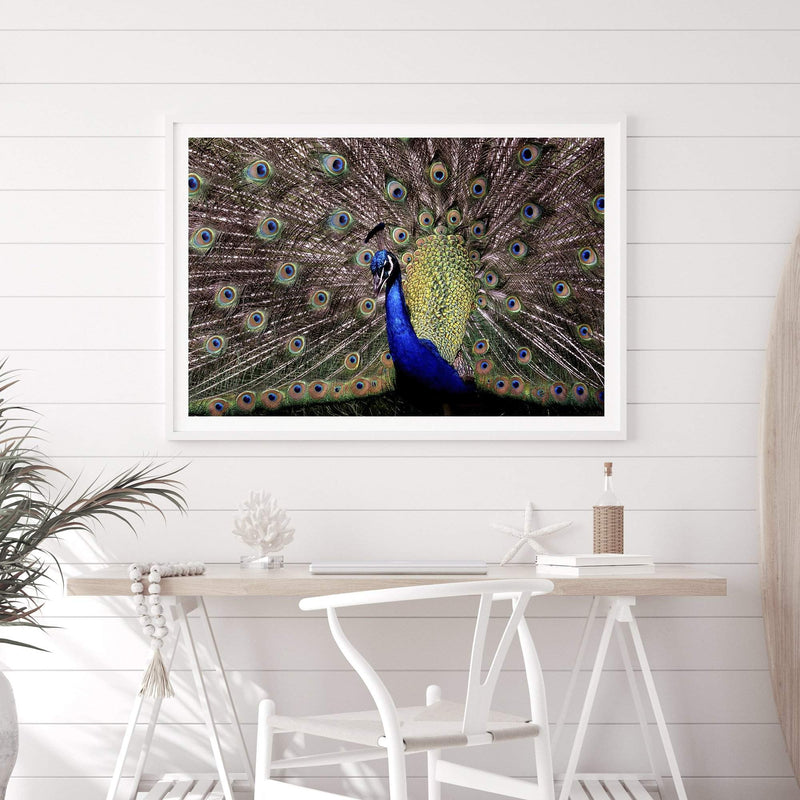 Percy The Peacock-The Paper Tree-animal,animals,Artwork,bird,blue,green,landscape,nature,PEACOCK,premium art print,wall art,Wall_Art,Wall_Art_Prints