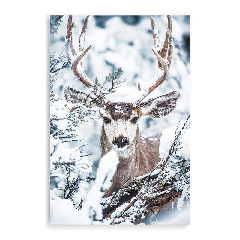 Deer In The Forest-The Paper Tree-animal,blue,christmas,deer,elk,forest,nature,portrait,premium art print,stag,TAN,trees,wall art,Wall_Art,Wall_Art_Prints,white,woods,xmas