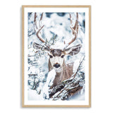 Deer In The Forest-The Paper Tree-animal,blue,christmas,deer,elk,forest,nature,portrait,premium art print,stag,TAN,trees,wall art,Wall_Art,Wall_Art_Prints,white,woods,xmas