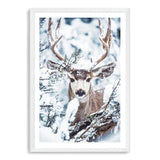 Deer In The Forest-The Paper Tree-animal,blue,christmas,deer,elk,forest,nature,portrait,premium art print,stag,TAN,trees,wall art,Wall_Art,Wall_Art_Prints,white,woods,xmas