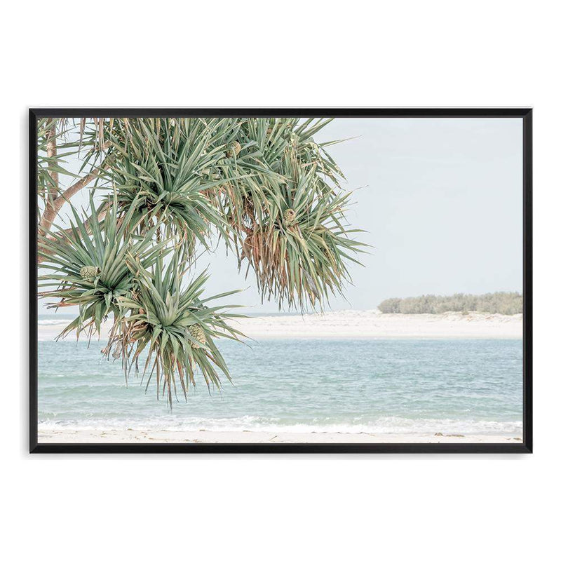 Pandanus By The Beach-The Paper Tree-australia,beach,blue,boho,botanical,coast,coastal,hamptons,landscape,muted tone,ocean,palm,palm tree,pandanus,pandanus tree,premium art print,wall art,Wall_Art,Wall_Art_Prints