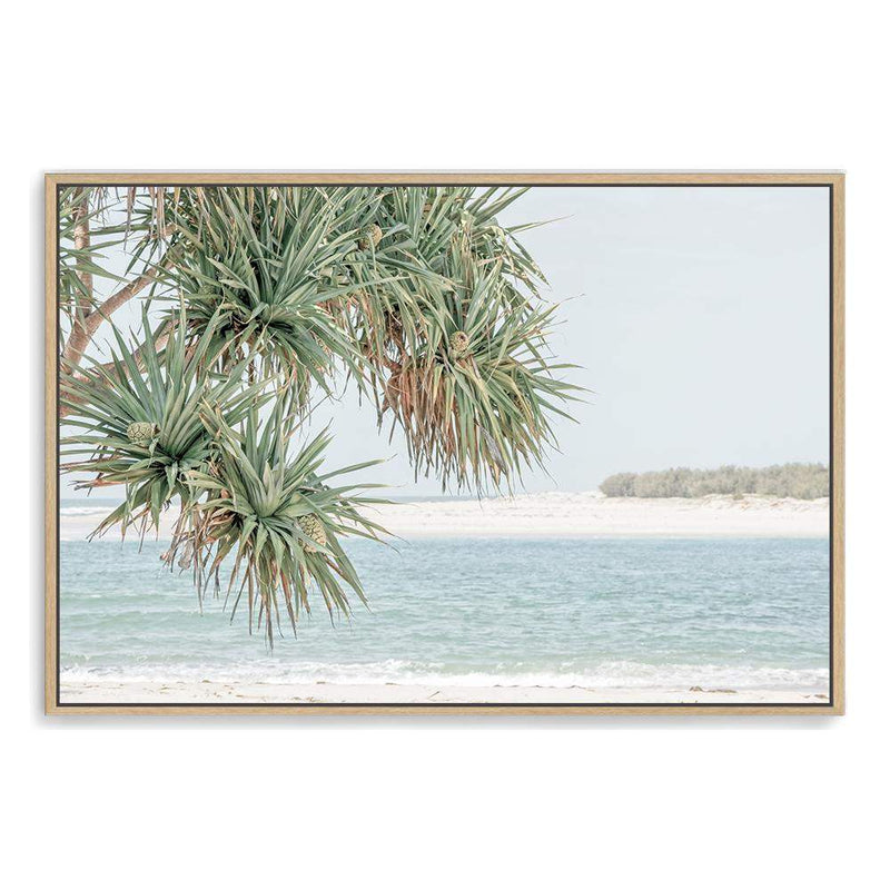 Pandanus By The Beach-The Paper Tree-australia,beach,blue,boho,botanical,coast,coastal,hamptons,landscape,muted tone,ocean,palm,palm tree,pandanus,pandanus tree,premium art print,wall art,Wall_Art,Wall_Art_Prints