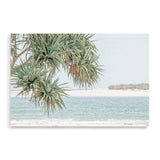 Pandanus By The Beach-The Paper Tree-australia,beach,blue,boho,botanical,coast,coastal,hamptons,landscape,muted tone,ocean,palm,palm tree,pandanus,pandanus tree,premium art print,wall art,Wall_Art,Wall_Art_Prints