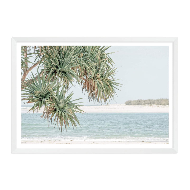 Pandanus By The Beach-The Paper Tree-australia,beach,blue,boho,botanical,coast,coastal,hamptons,landscape,muted tone,ocean,palm,palm tree,pandanus,pandanus tree,premium art print,wall art,Wall_Art,Wall_Art_Prints