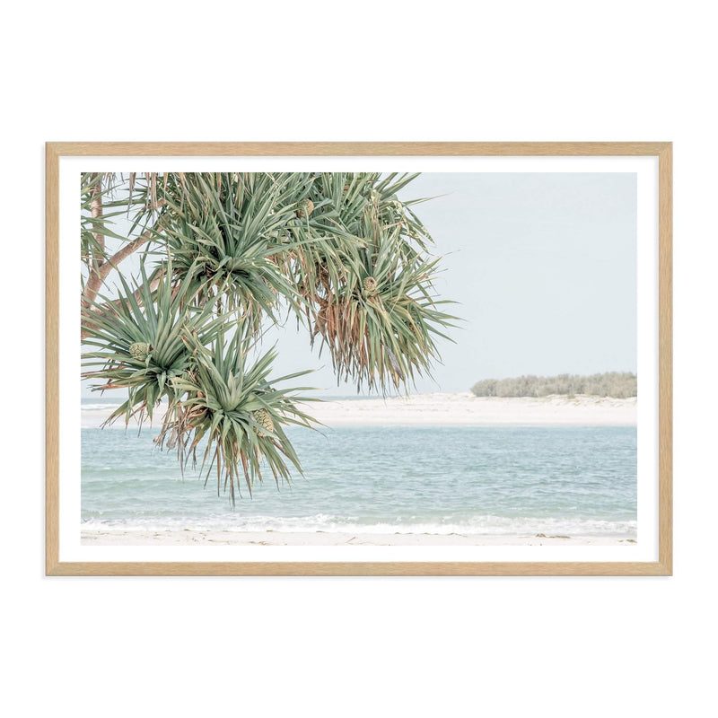 Pandanus By The Beach-The Paper Tree-australia,beach,blue,boho,botanical,coast,coastal,hamptons,landscape,muted tone,ocean,palm,palm tree,pandanus,pandanus tree,premium art print,wall art,Wall_Art,Wall_Art_Prints