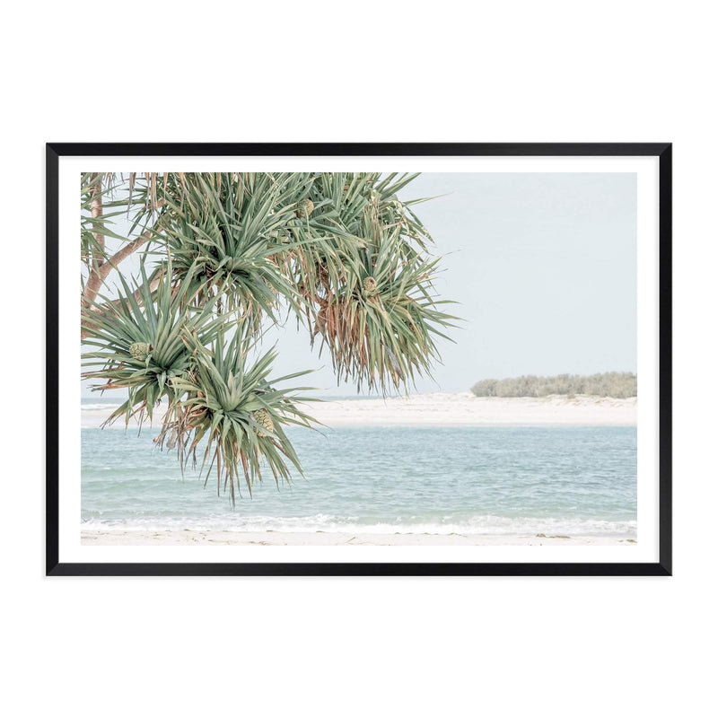 Pandanus By The Beach-The Paper Tree-australia,beach,blue,boho,botanical,coast,coastal,hamptons,landscape,muted tone,ocean,palm,palm tree,pandanus,pandanus tree,premium art print,wall art,Wall_Art,Wall_Art_Prints