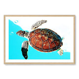 Turtle-The Paper Tree-Animal,Beach,Blue,Coastal,landscape,Ocean,premium art print,Sea,Sea Animal,Sea Creature,Turtle,wall art,Wall_Art,Wall_Art_Prints,Water