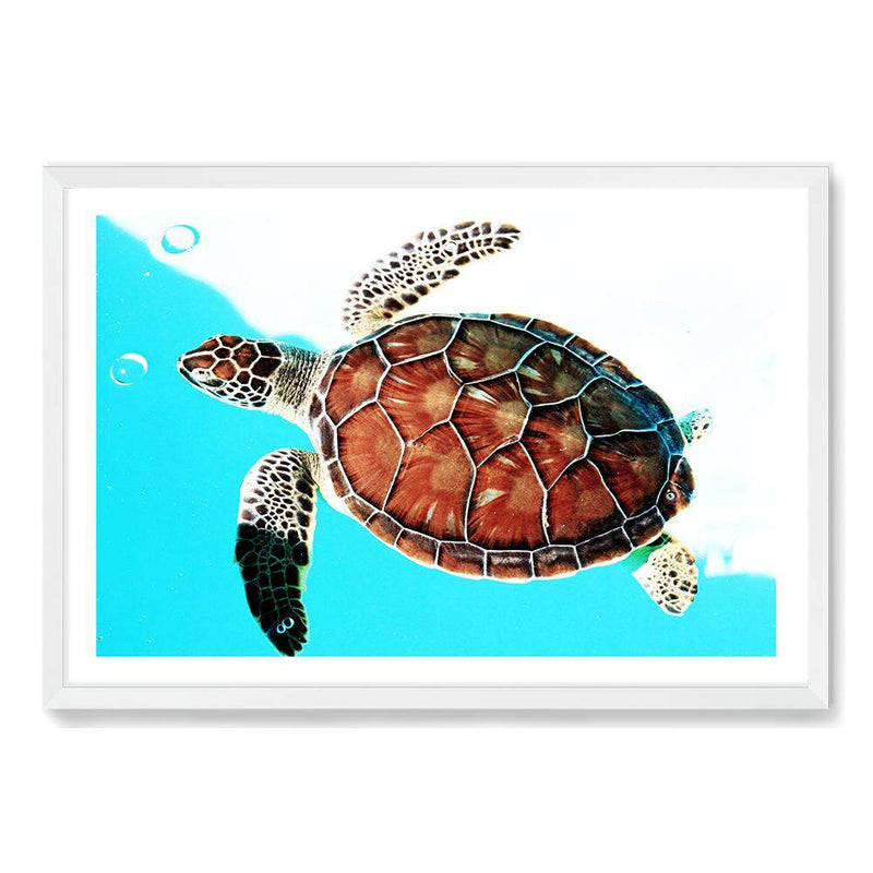 Turtle-The Paper Tree-Animal,Beach,Blue,Coastal,landscape,Ocean,premium art print,Sea,Sea Animal,Sea Creature,Turtle,wall art,Wall_Art,Wall_Art_Prints,Water