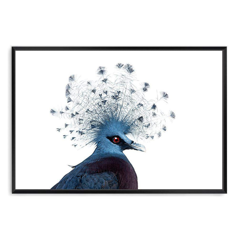 Victoria Crowned Pigeon-The Paper Tree-animal,bird,birds,blue,hamptons,landscape,pigeon,premium art print,victoria crowned pigeon,wall art,Wall_Art,Wall_Art_Prints