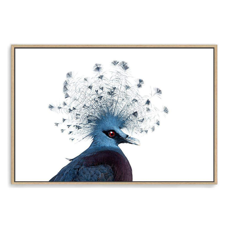 Victoria Crowned Pigeon-The Paper Tree-animal,bird,birds,blue,hamptons,landscape,pigeon,premium art print,victoria crowned pigeon,wall art,Wall_Art,Wall_Art_Prints