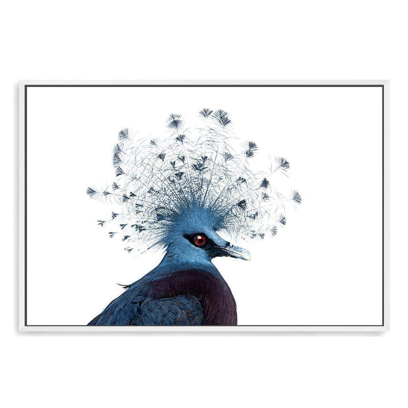 Victoria Crowned Pigeon-The Paper Tree-animal,bird,birds,blue,hamptons,landscape,pigeon,premium art print,victoria crowned pigeon,wall art,Wall_Art,Wall_Art_Prints