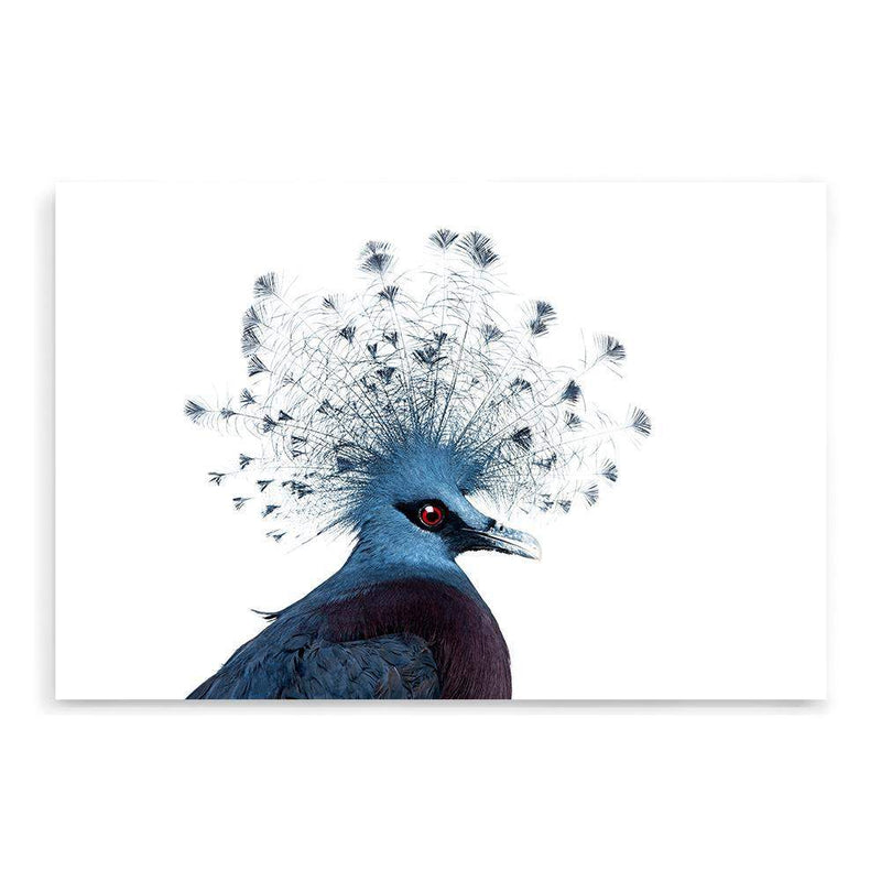 Victoria Crowned Pigeon-The Paper Tree-animal,bird,birds,blue,hamptons,landscape,pigeon,premium art print,victoria crowned pigeon,wall art,Wall_Art,Wall_Art_Prints