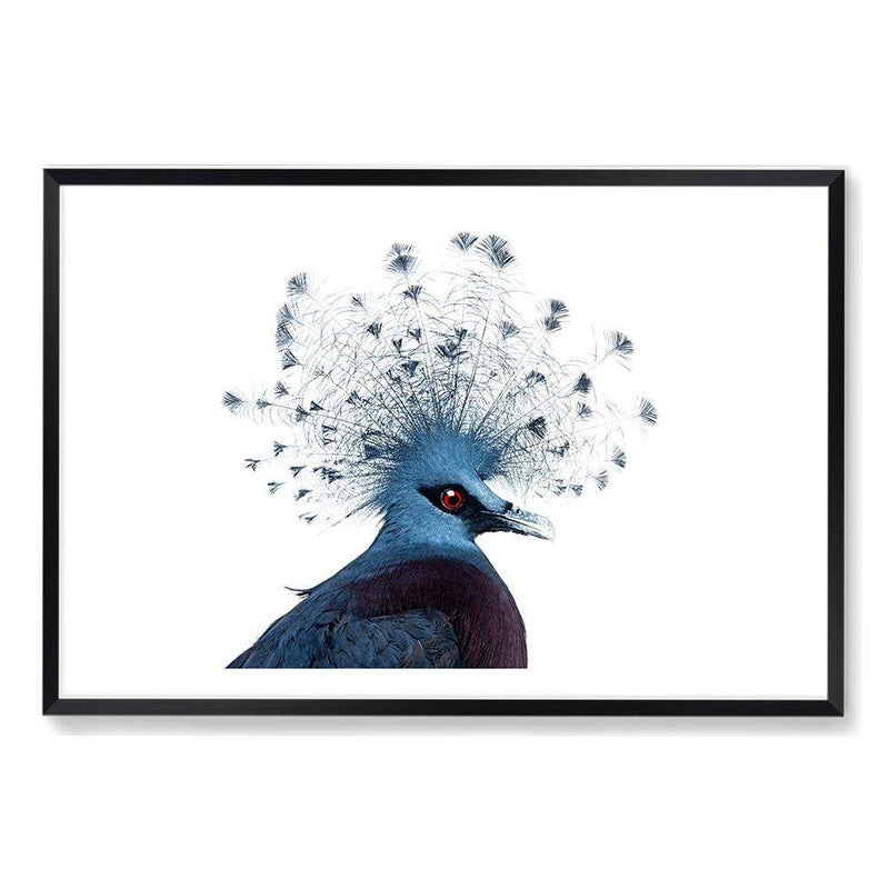 Victoria Crowned Pigeon-The Paper Tree-animal,bird,birds,blue,hamptons,landscape,pigeon,premium art print,victoria crowned pigeon,wall art,Wall_Art,Wall_Art_Prints