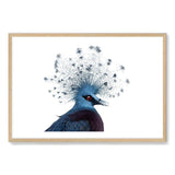 Victoria Crowned Pigeon-The Paper Tree-animal,bird,birds,blue,hamptons,landscape,pigeon,premium art print,victoria crowned pigeon,wall art,Wall_Art,Wall_Art_Prints