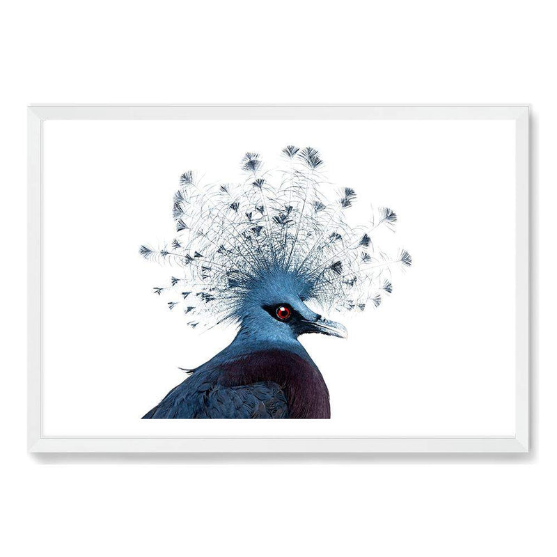 Victoria Crowned Pigeon-The Paper Tree-animal,bird,birds,blue,hamptons,landscape,pigeon,premium art print,victoria crowned pigeon,wall art,Wall_Art,Wall_Art_Prints