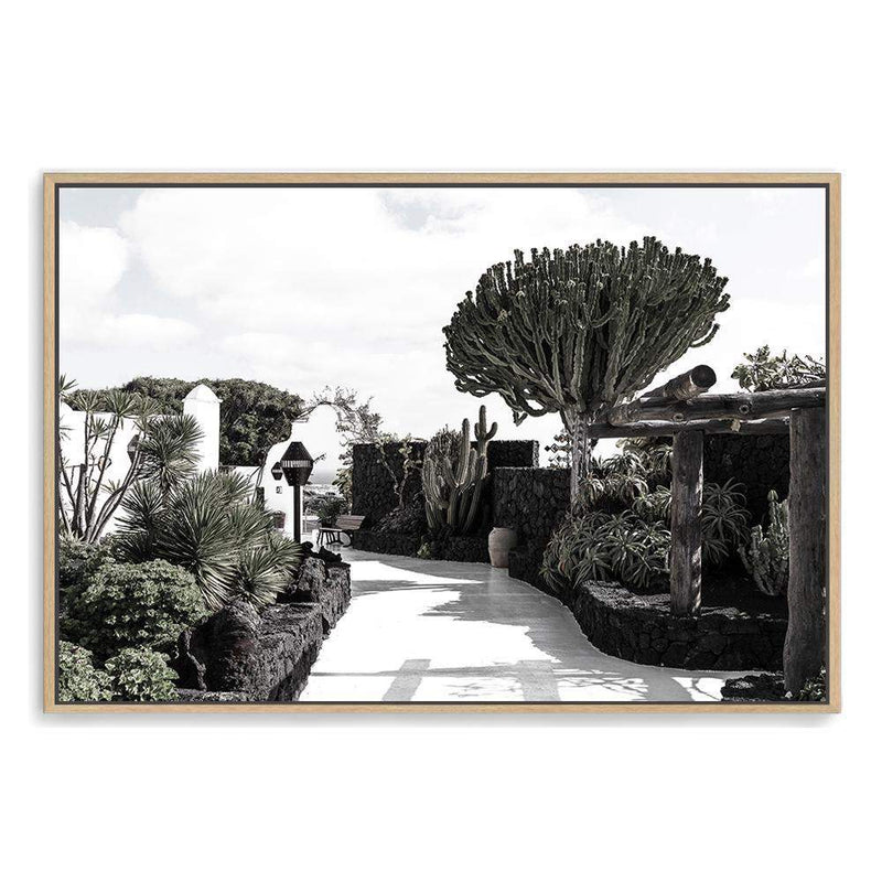 The Garden Path-The Paper Tree-architectural,architecture,botaincal,canary islands,garden,garden path,island,landscape,path,premium art print,spain,tree,wall art,Wall_Art,Wall_Art_Prints