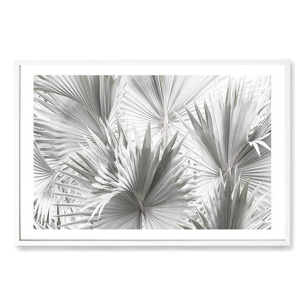 Bismark Palm Fronds-The Paper Tree-bismark,bismark palm,boho,botanical,fronds,hamptons,landscape,leaf,leaves,neutral,palm,palm fronds,palm tree,pastel,premium art print,wall art,Wall_Art,Wall_Art_Prints